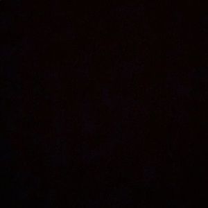 Meet your Posher, Noel